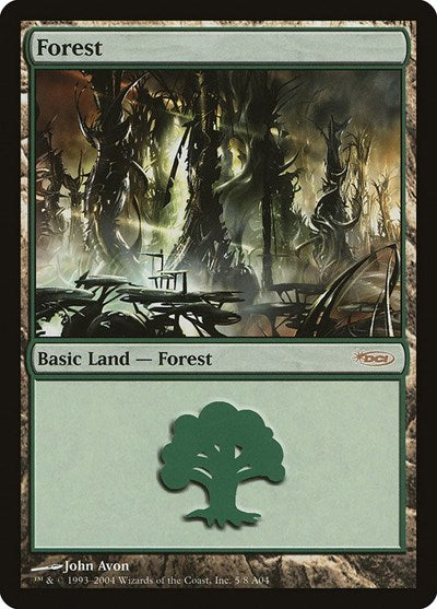 Forest (2004)