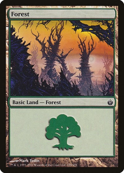 Forest (155)