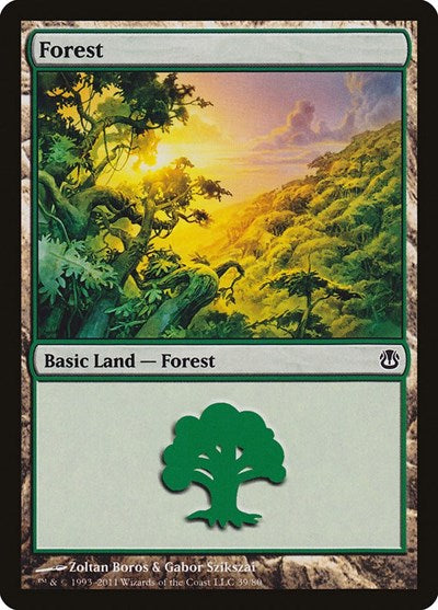 Forest (39)