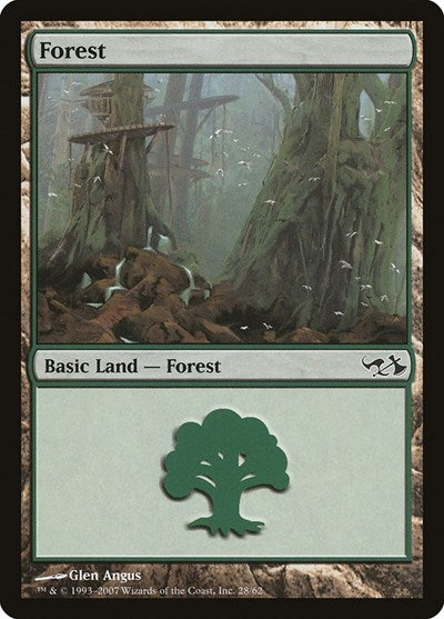 Forest (28)
