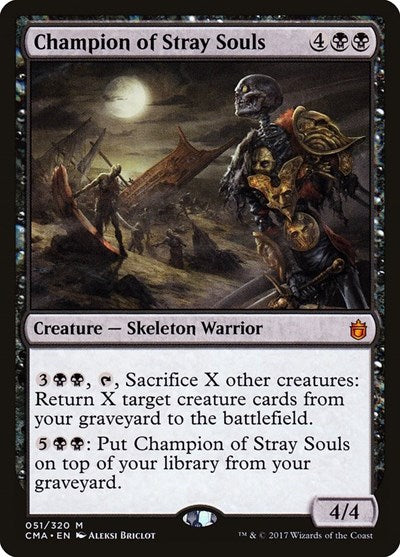 Champion of Stray Souls