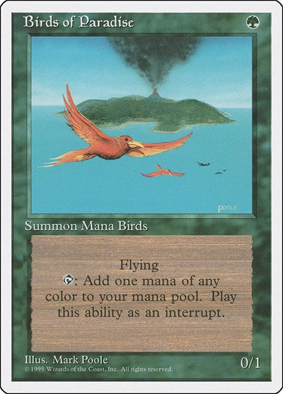 Birds of Paradise