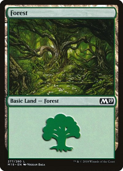Forest (277)
