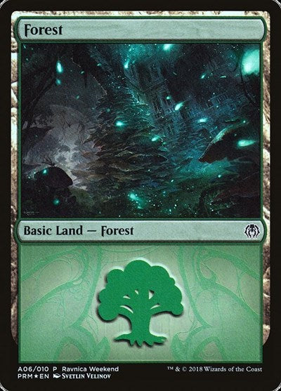 Forest - Golgari (A06)