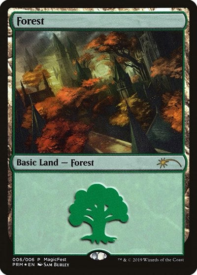 Forest (2019)