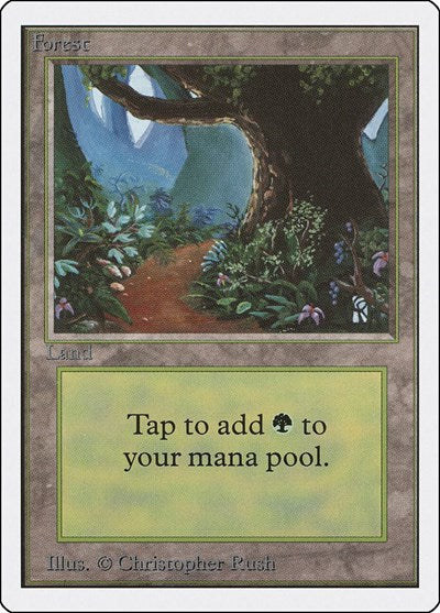 Forest (B)