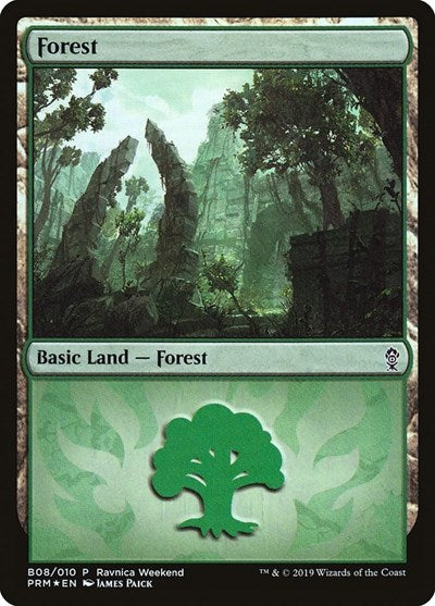 Forest - Gruul (B08)