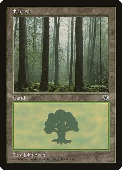 Forest (Ferns on Ground)