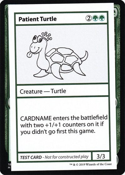 Patient Turtle (No PW Symbol)