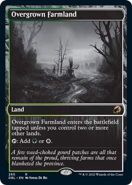 Overgrown Farmland