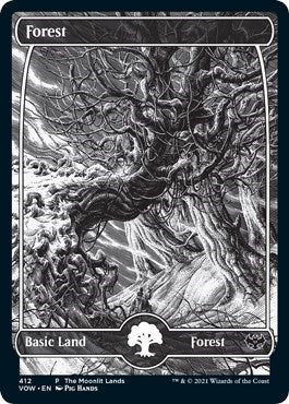 Forest (Moonlit Land) (Foil Etched)