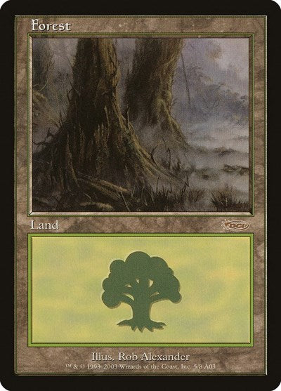 Forest (2003)
