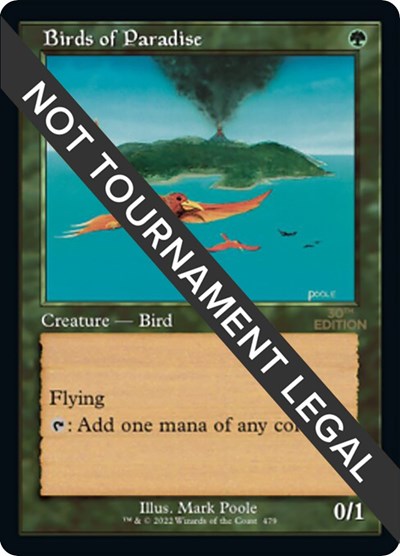 Birds of Paradise (Retro Frame)