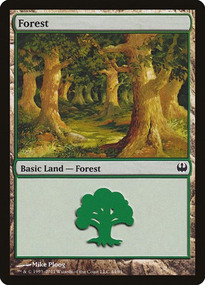 Forest (44)