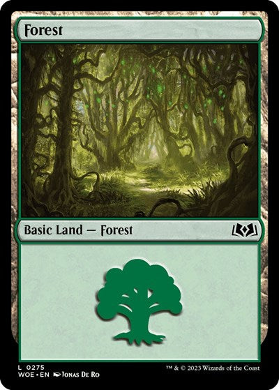 Forest (0275)
