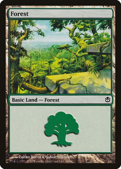 Forest (38)