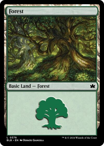 Forest (0378)