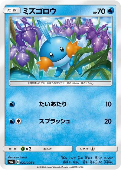Mudkip - 022/096