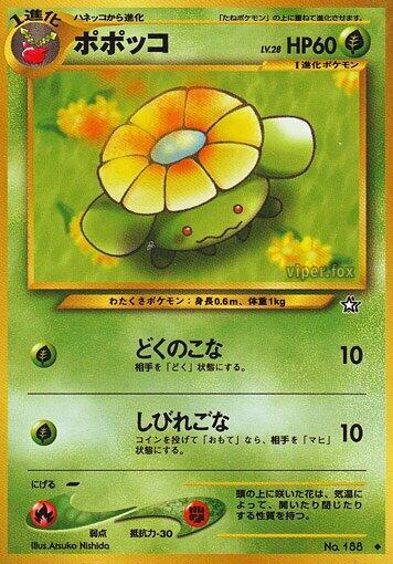 Skiploom