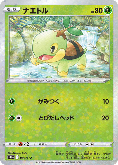 Turtwig - 006/172 (Mirror Holofoil)
