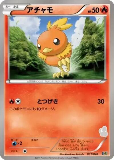 Torchic