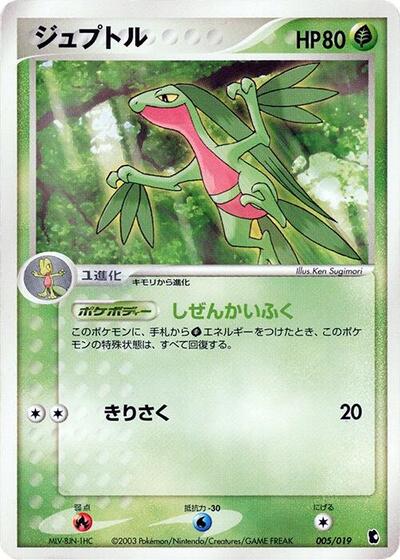 Grovyle - 005/019