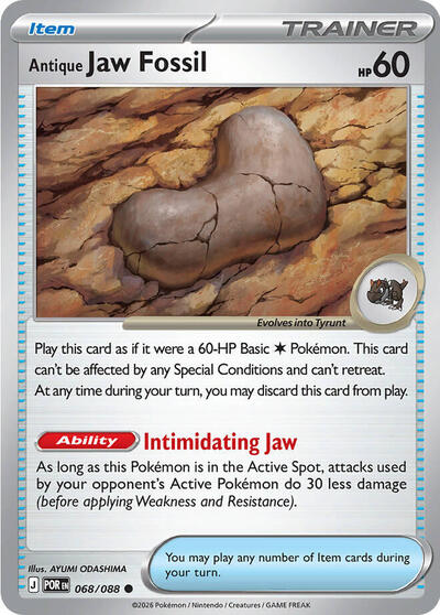 Antique Jaw Fossil