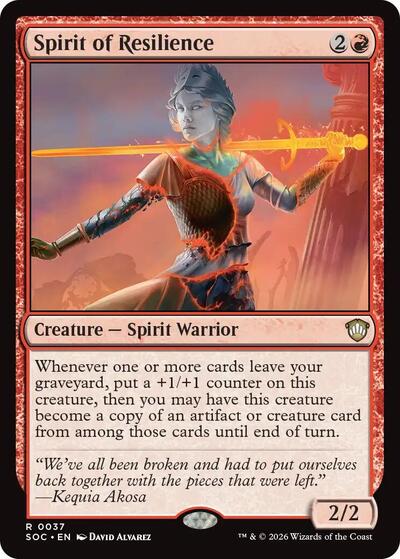 Spirit of Resilience
