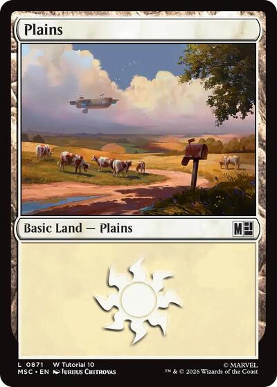 Plains (0871)