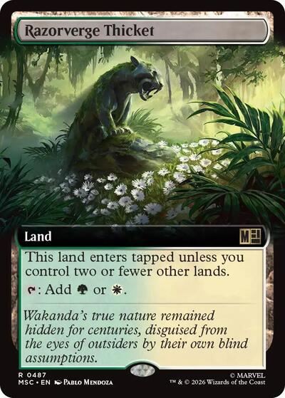 Razorverge Thicket (Extended Art)