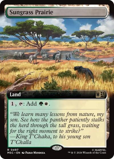 Sungrass Prairie (Extended Art)