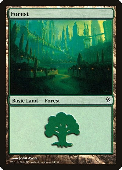 Forest (84)