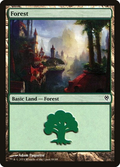 Forest (86)