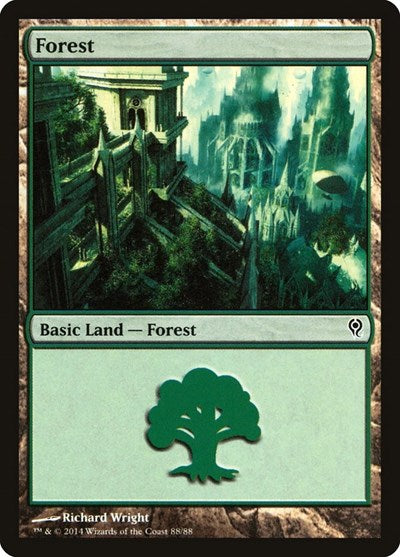 Forest (88)