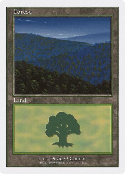 Forest (102)