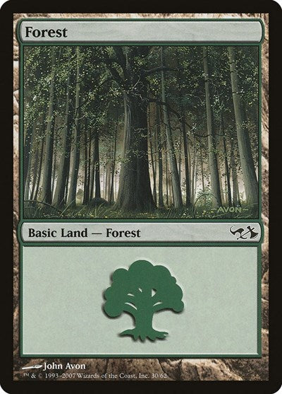 Forest (30)