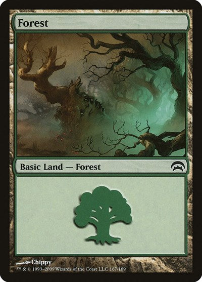 Forest (167)