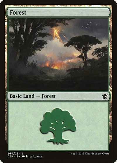 Forest (264)